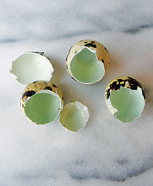 Quail Egg Benefits Nature’s Perfect Finger Food Backyard Poultry